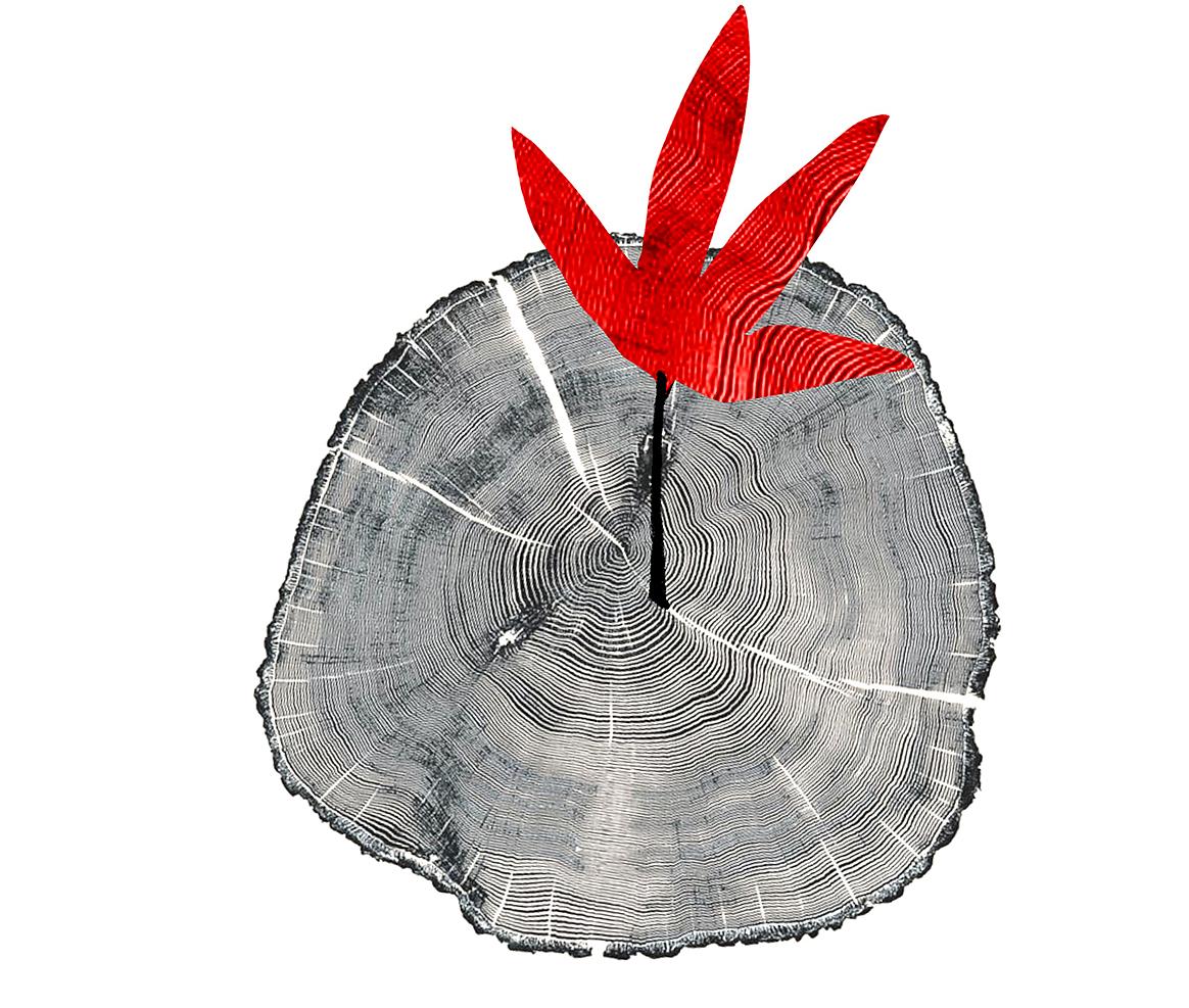 সুখের লাগিয়া