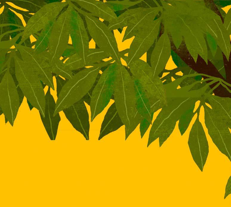 মিথ্যুক
