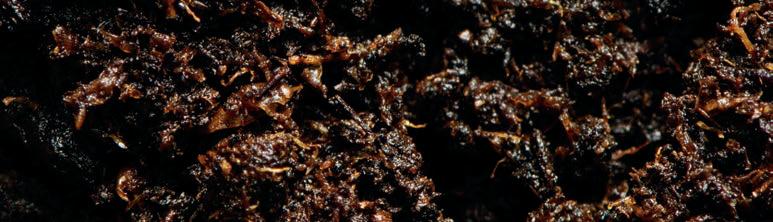 Soil mates