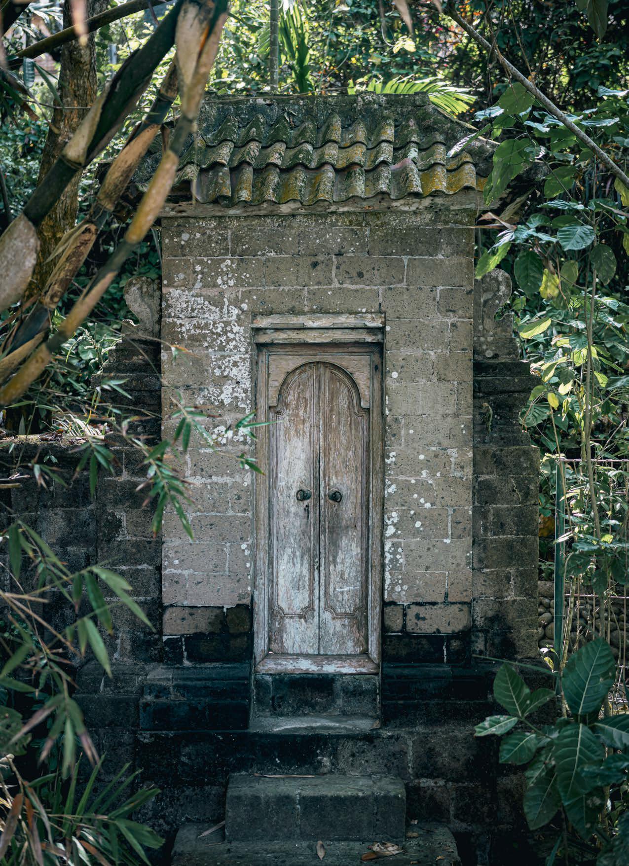 Untamed BALI