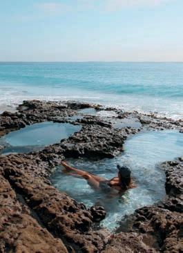 Shoalhaven, the heart of wellness