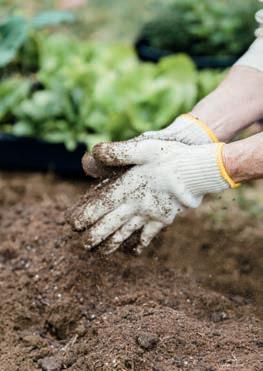 Making a mess with mulch