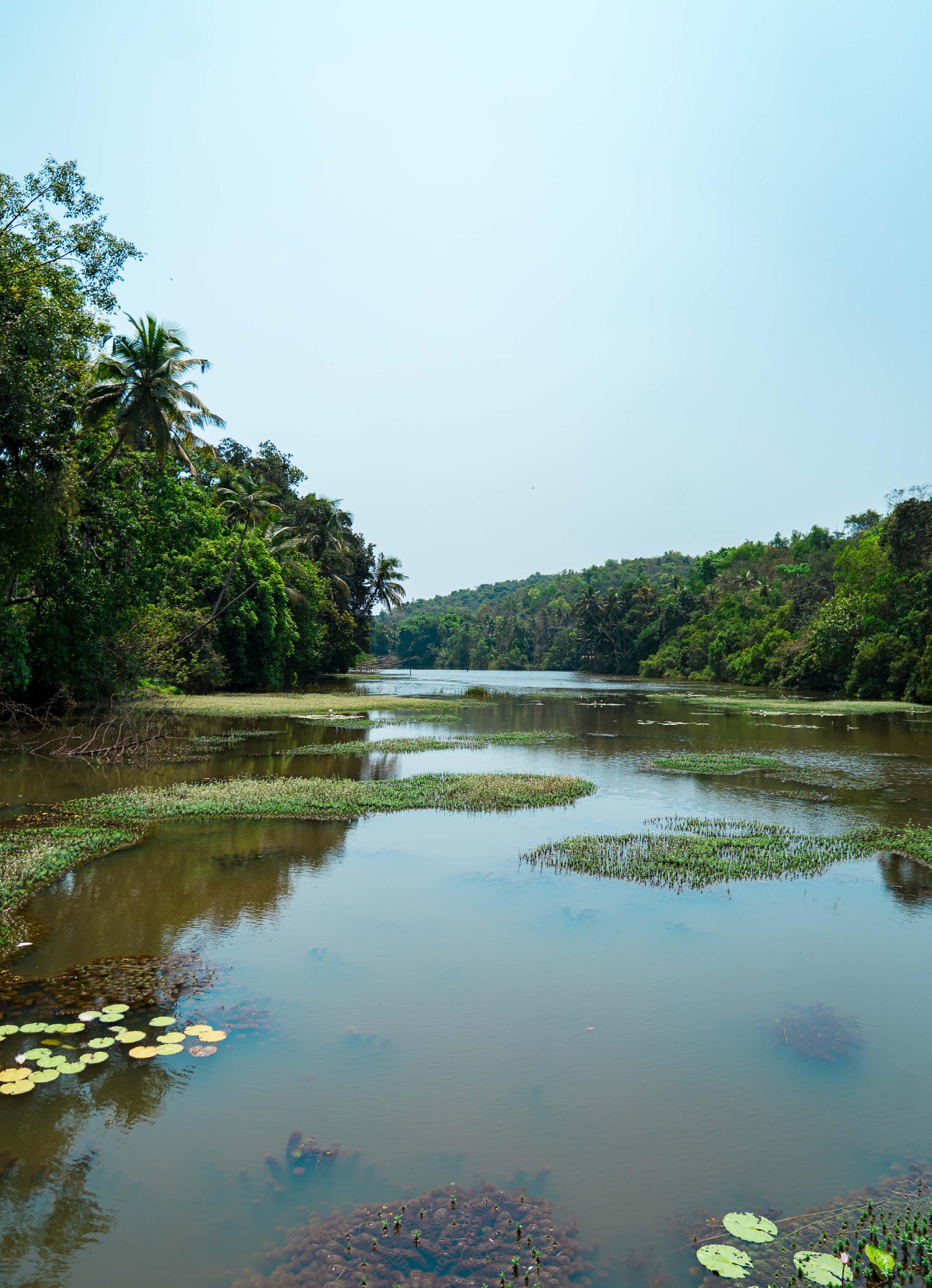 PASSAGE TO INDIA
