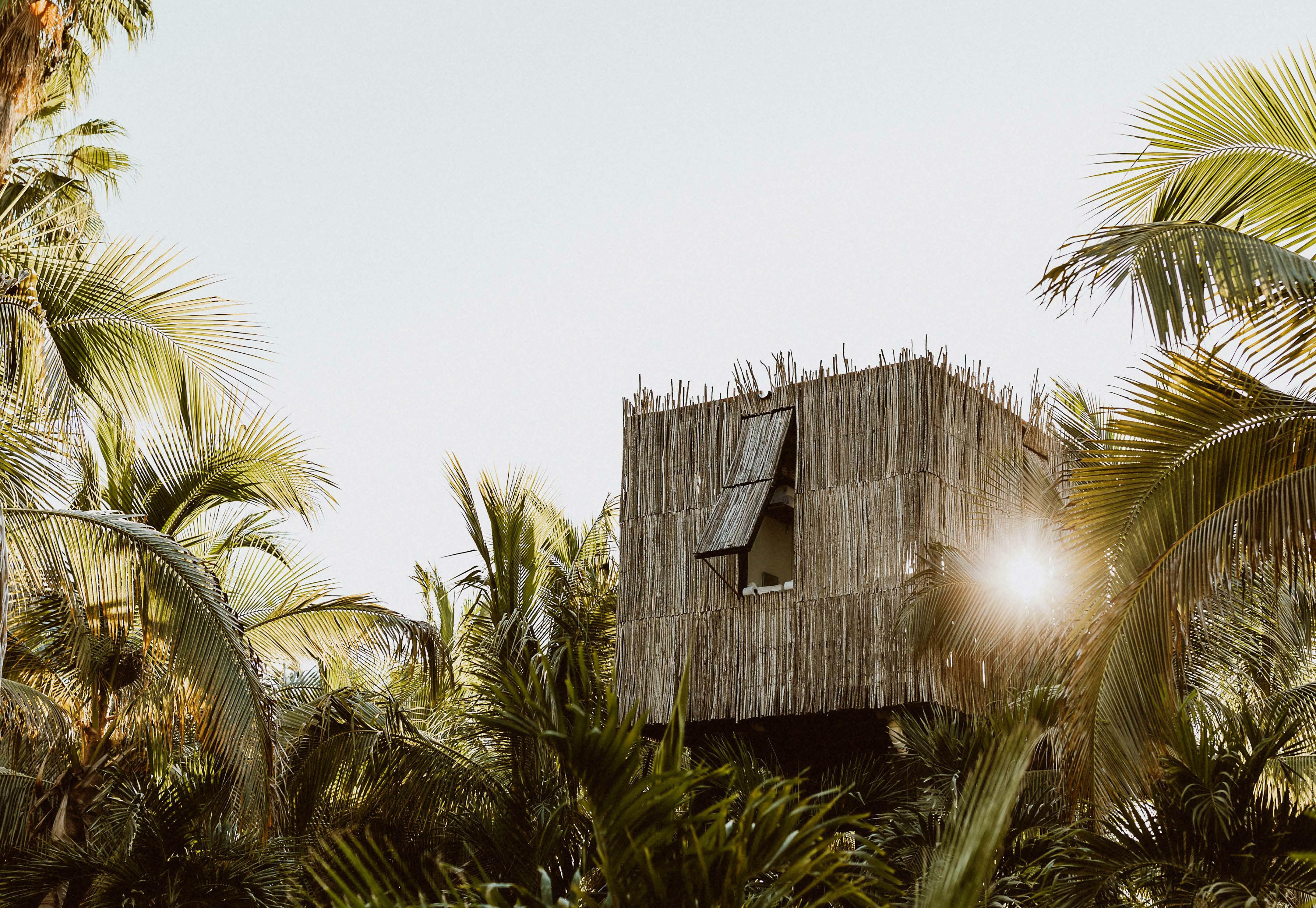 MELLOW MEXICO