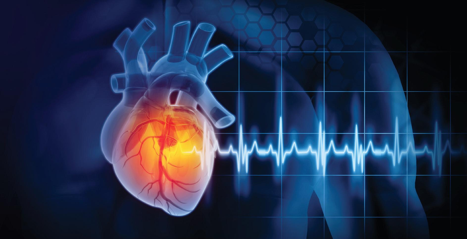 Know Your Numbers to Decode Your Risk for Heart Disease