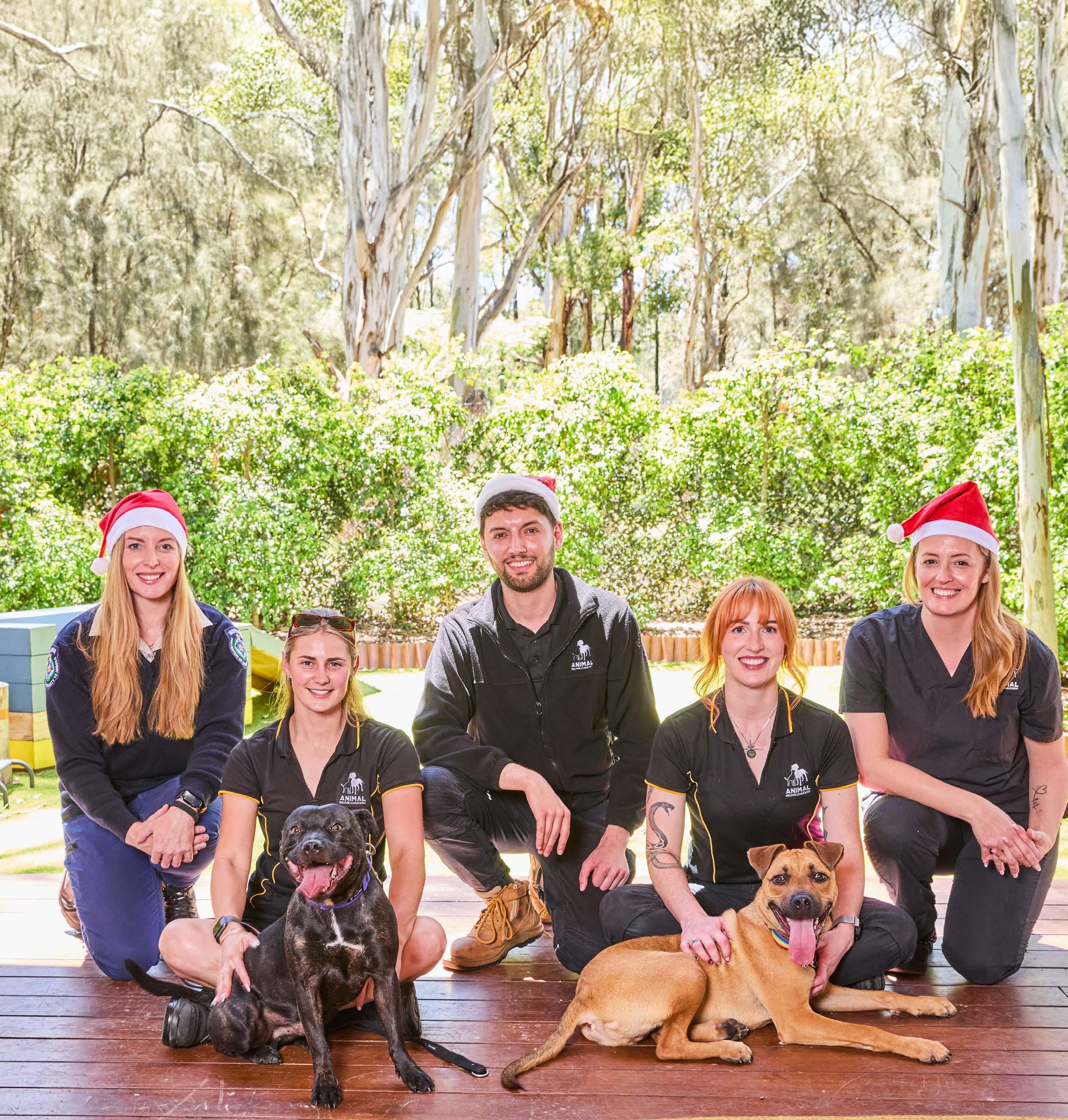 SANTA PAWS IS COMING TO TOWN!