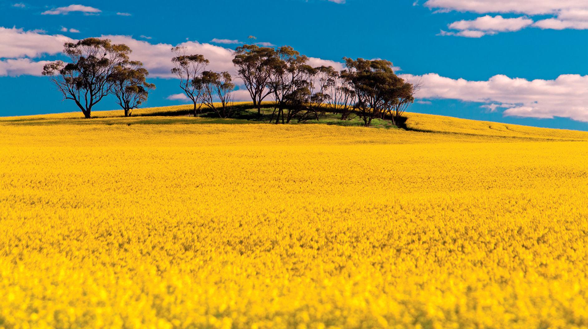 Australian farmland values stall