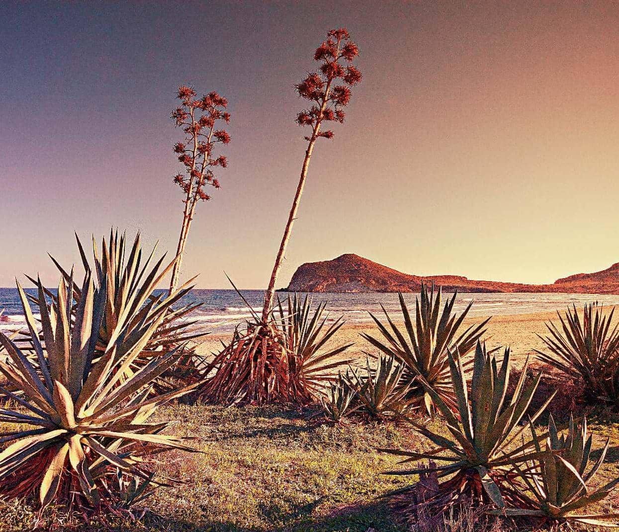 5 PLAYAS POR DESCUBRIR
