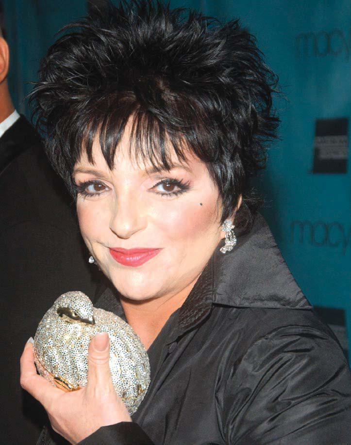 Liza Minnelli