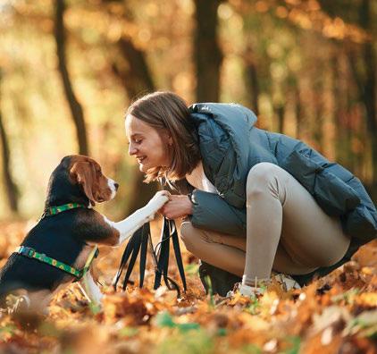 ¿POR QUÉ LOS PERROS SE PARECEN A SUS DUEÑOS?