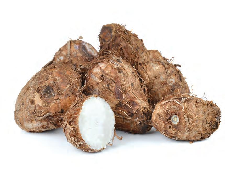 Hidden harvests: Why South Africa must take underutilised crops seriously