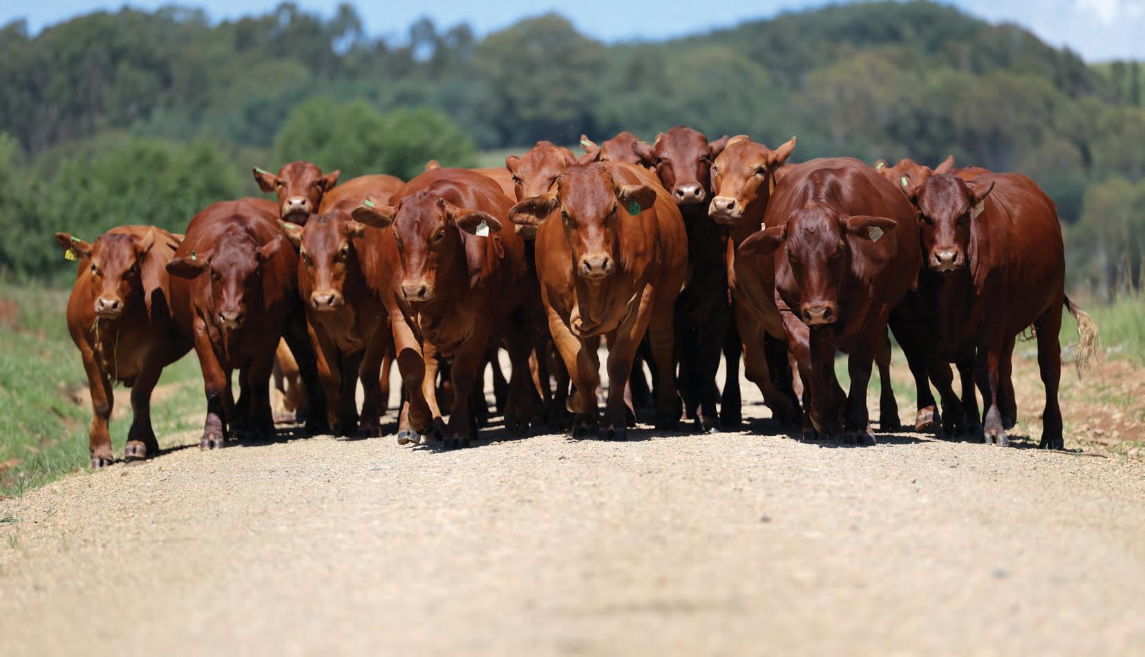 Next level genetics through technology