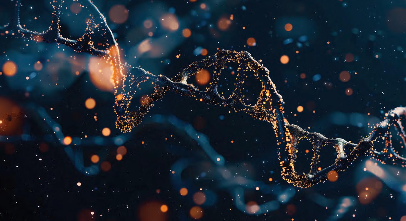 Information and technology: Importance and relevance in beef production