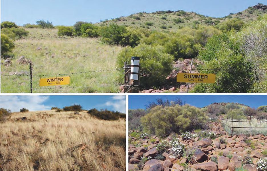 Basic principles of veld management for sustainable production