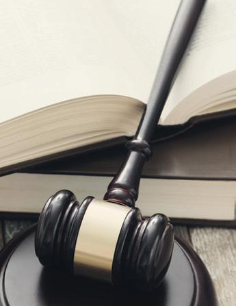 The right to keep livestock: The Moladora case