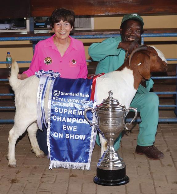 Boer goat management: Dosing for success