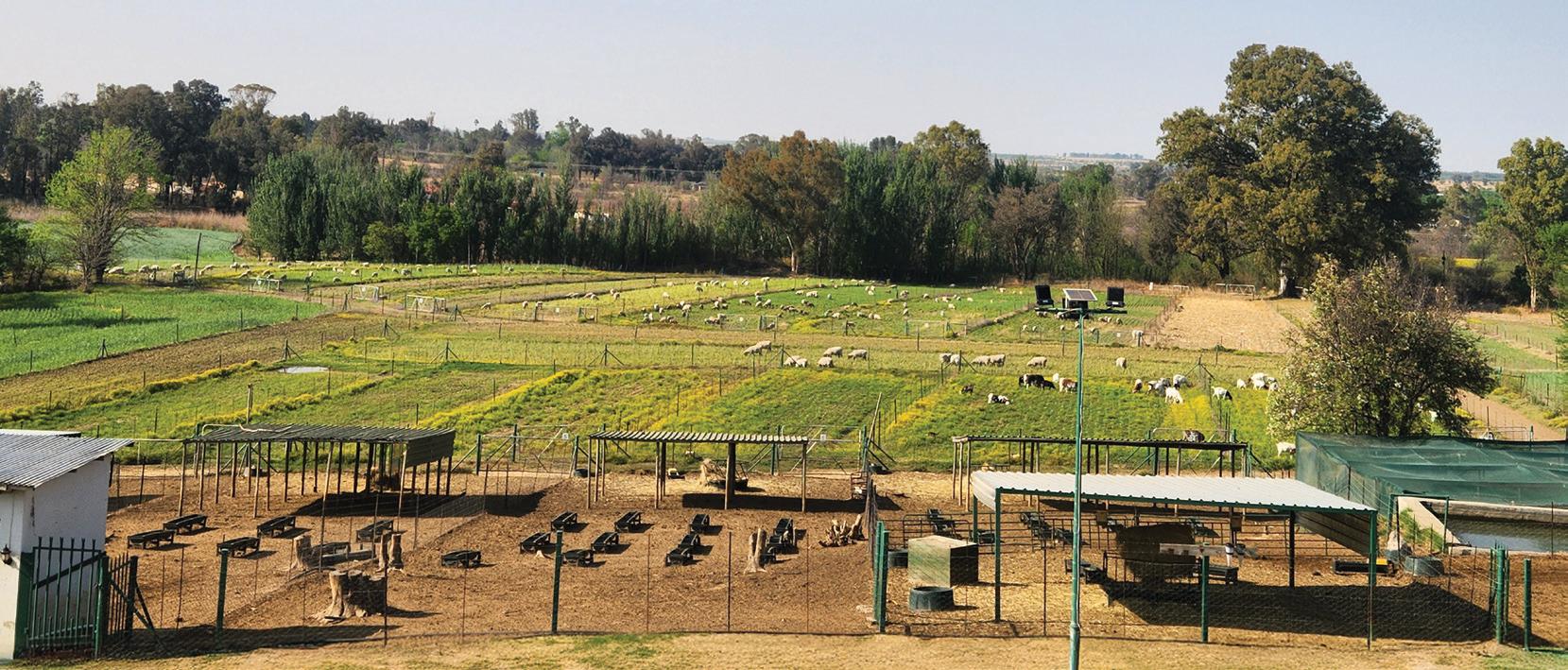 An integrated enterprise on a small piece of land