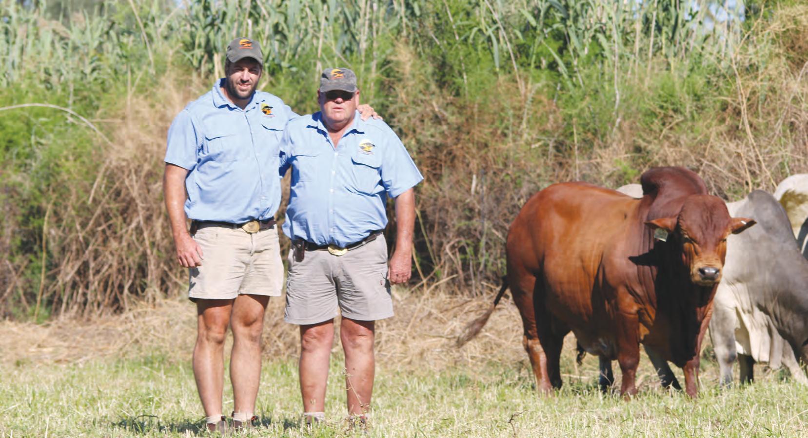Borans: The heartbeat of a Northern Cape farming enterprise