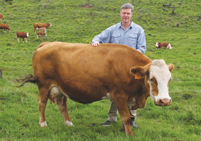 Testing the limits with genetic progress