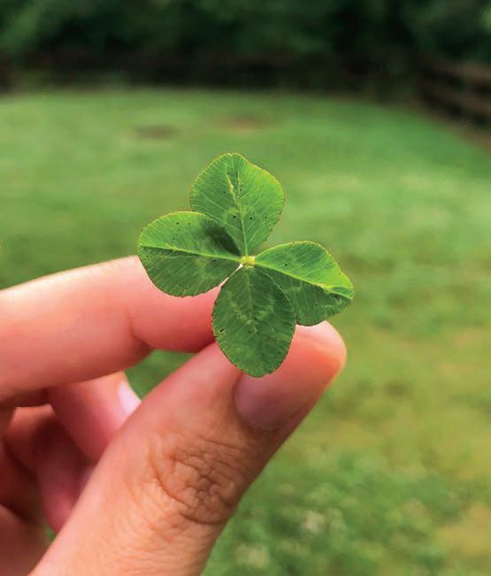 Something Better Than Luck