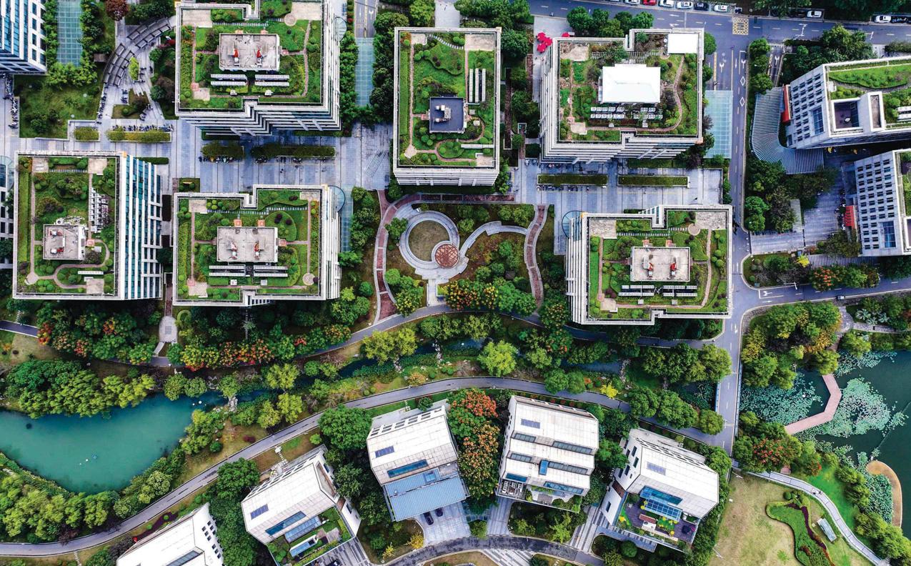 New urban jungles