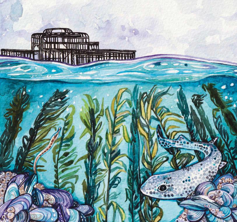 KATE BRADBURY