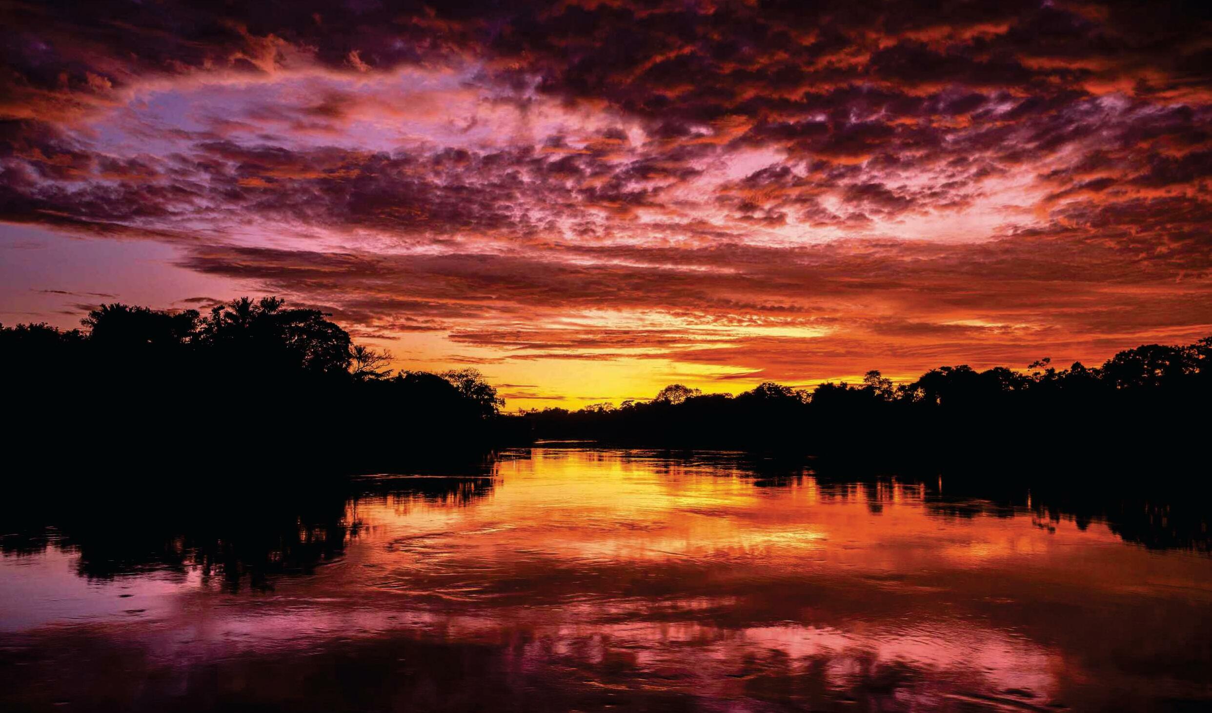 Why are the tropics so diverse?