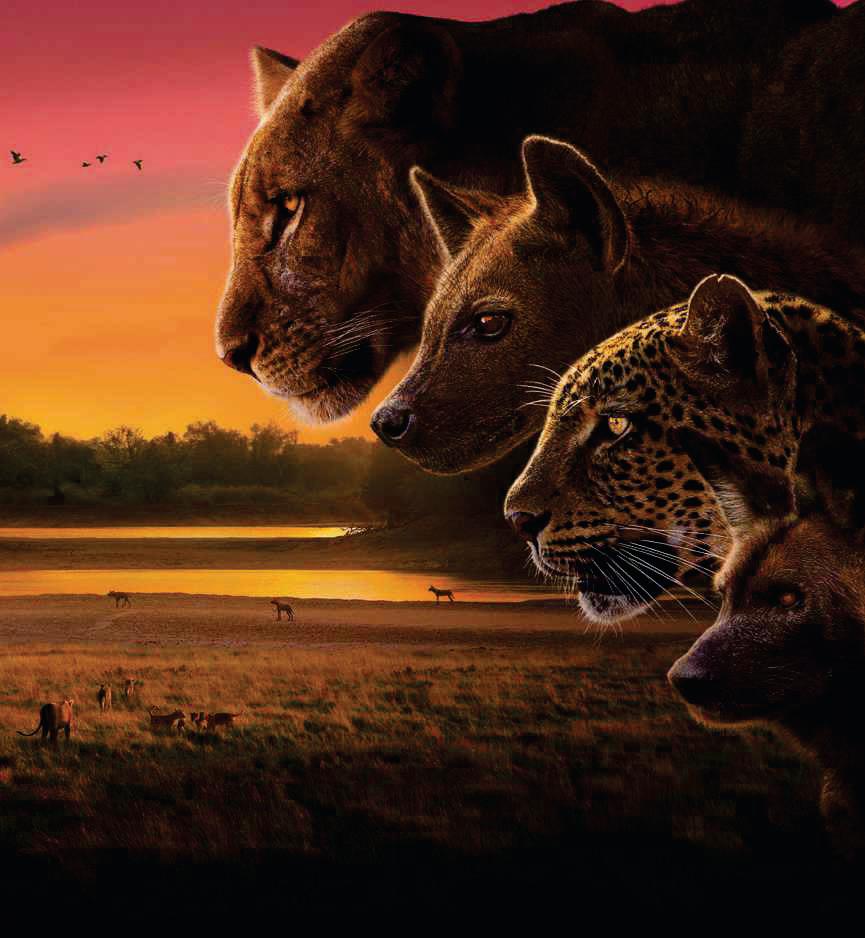 Attenborough narrates new wildlife series