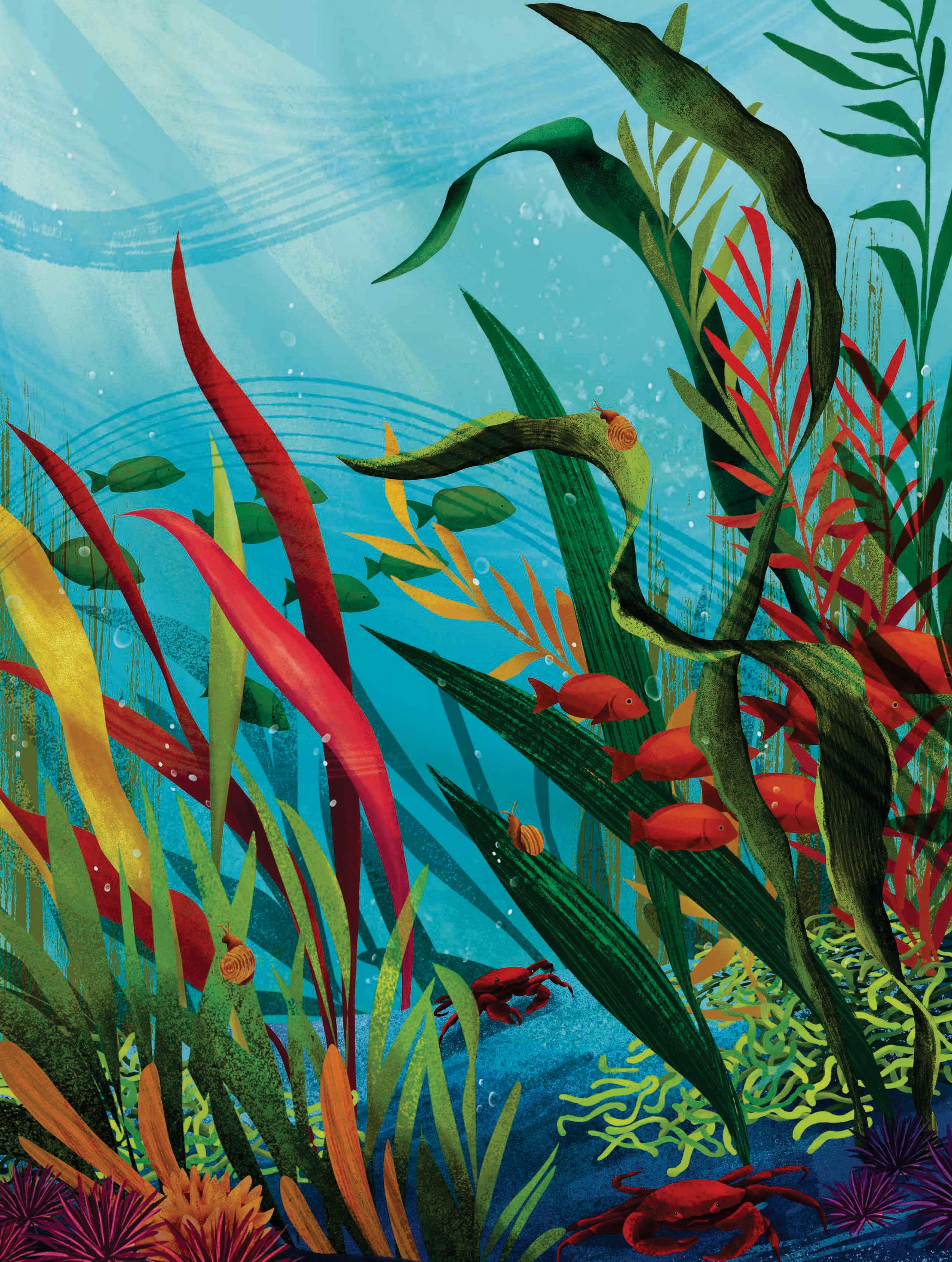 “More than half of all animal life exists in a parasitic relationship, and all life lives in symbiosis”