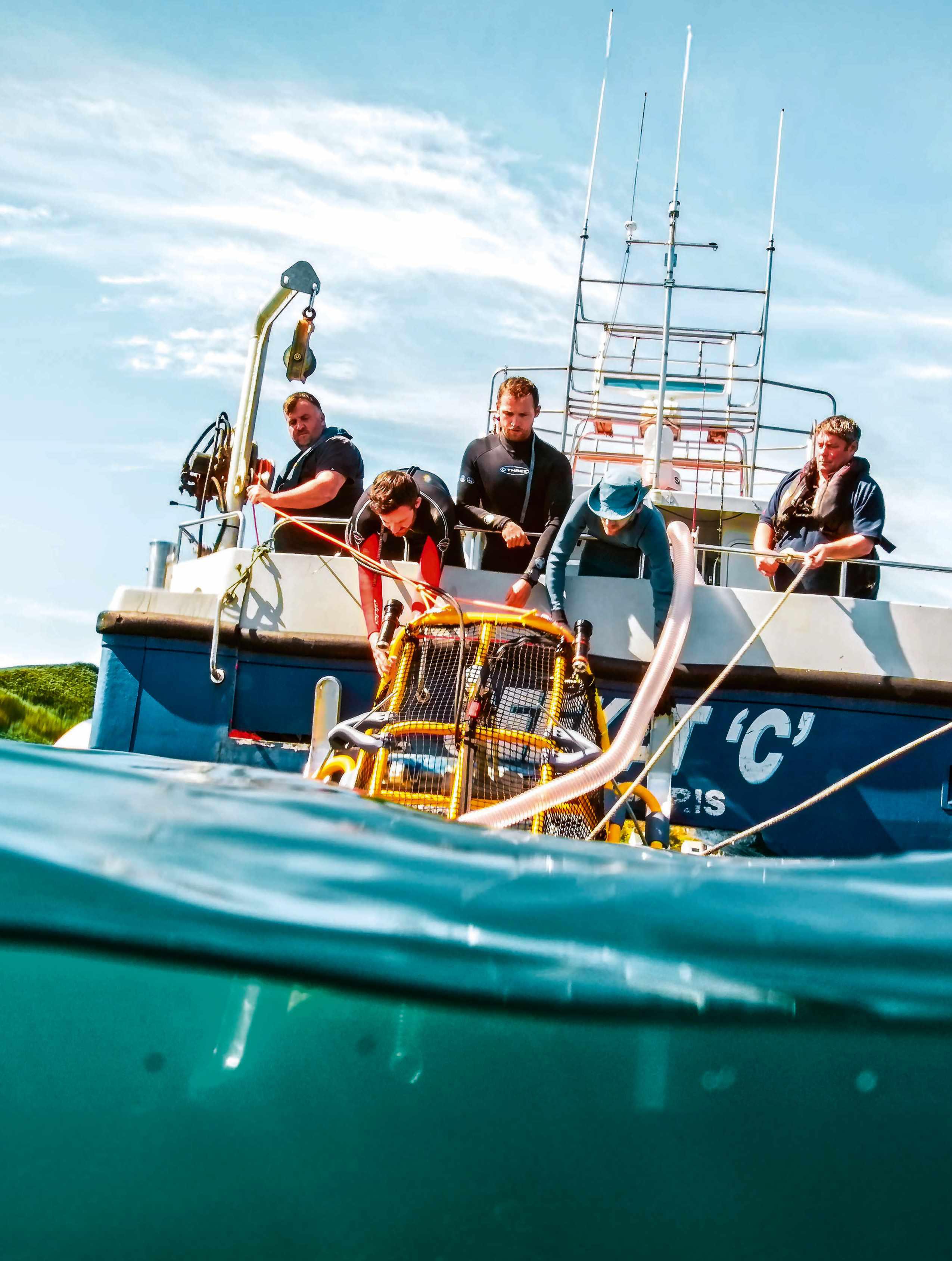 SEAGRASS SAVIOURS