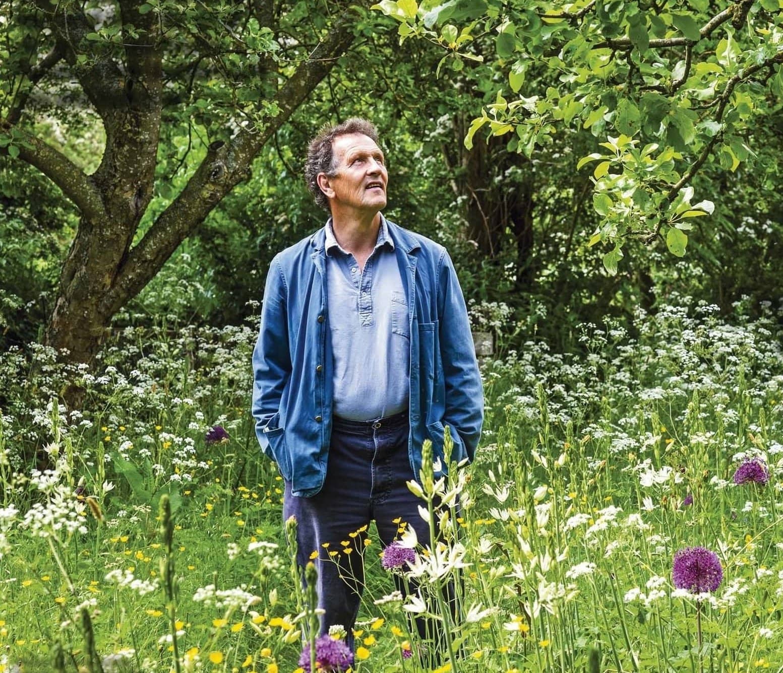 Where have all the pollinators gone?