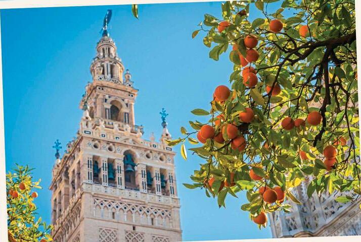 Garden globetrotting Seville