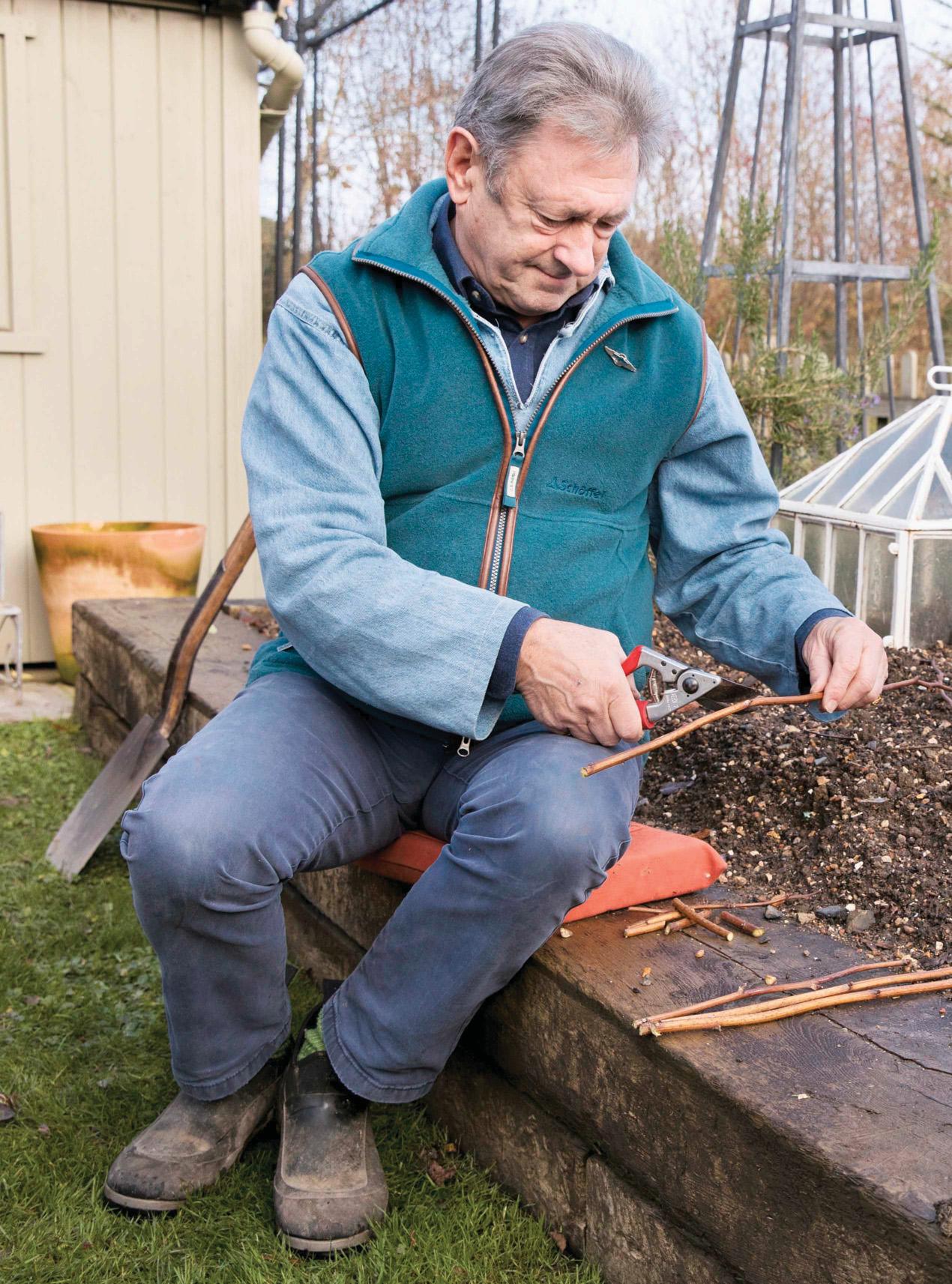 Hardwood cuttings made easy