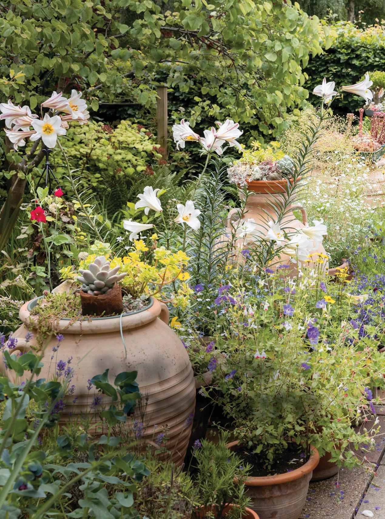 Soak up the atmosphere