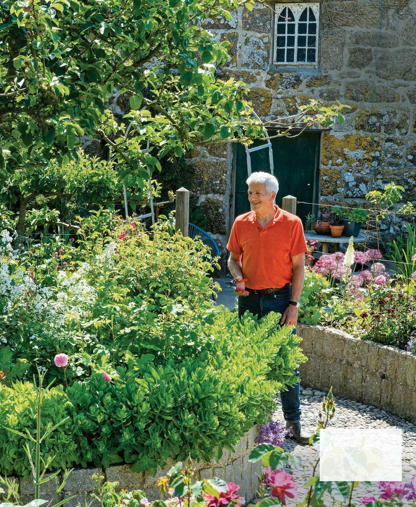 A garden at the edge of the world