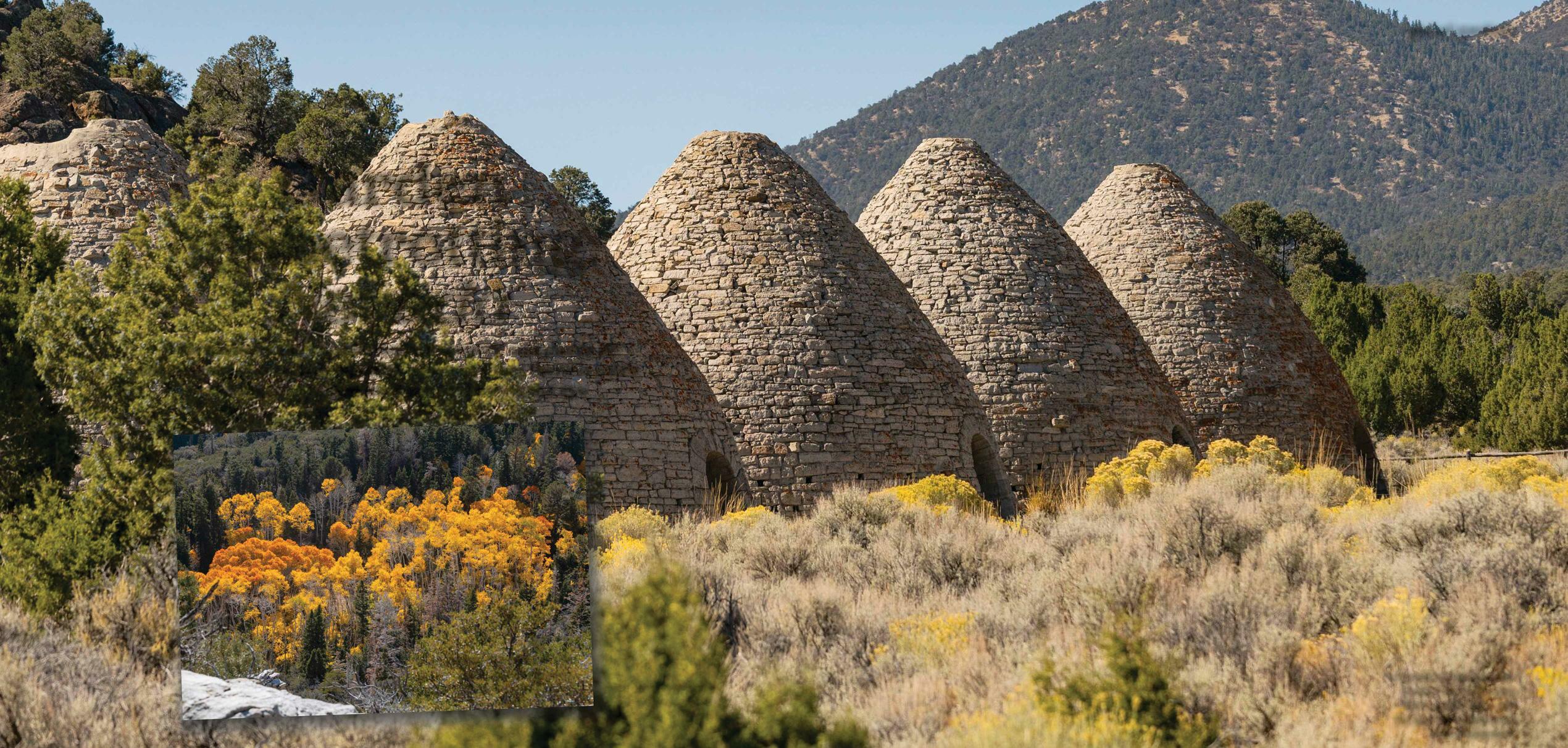 Garden globetrotting: Nevada