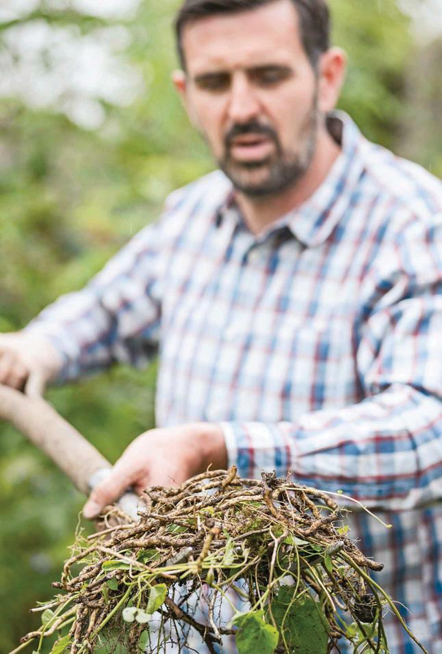 Get on top of weeds early