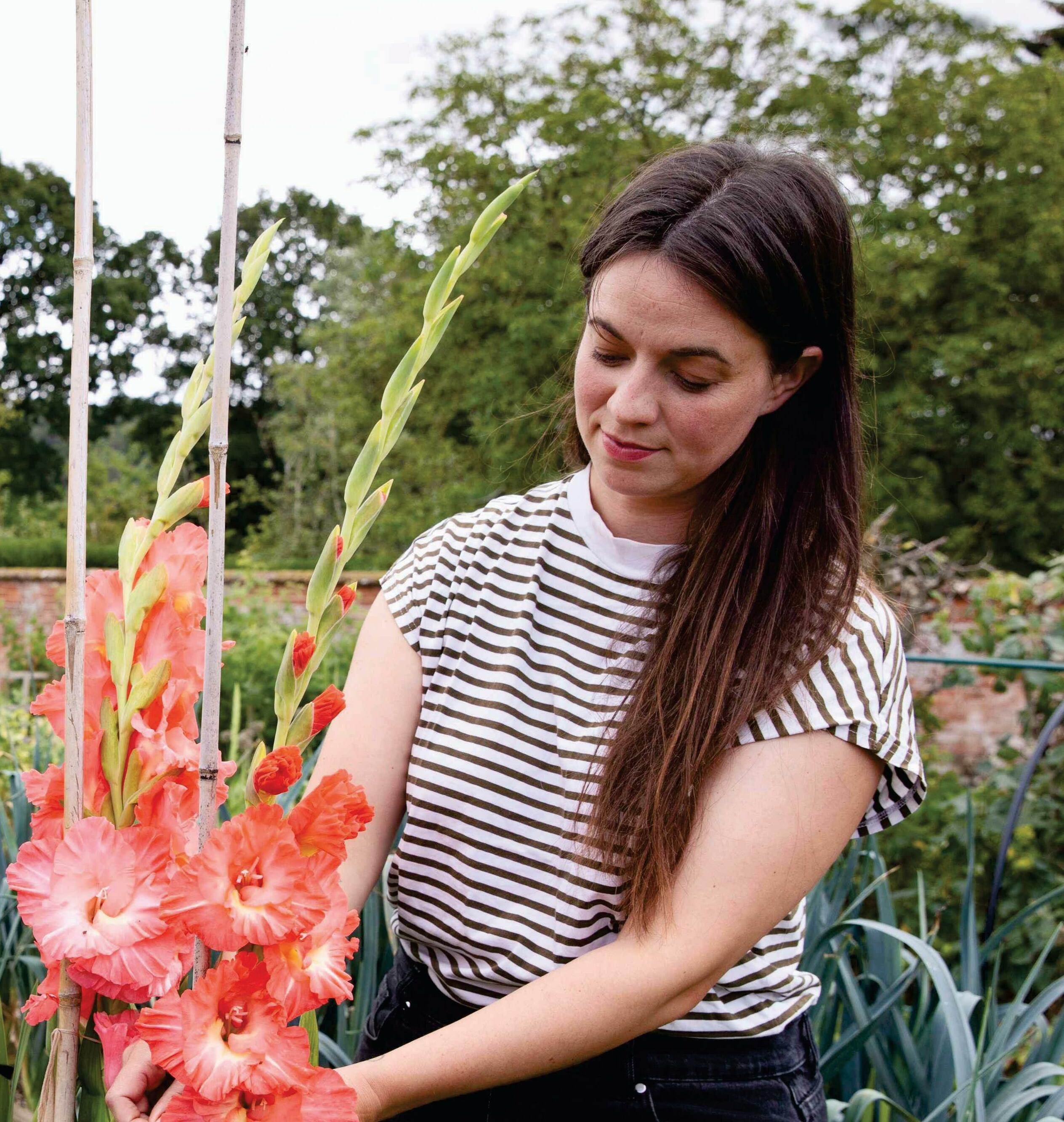 NO-FEAR GARDENING PART 3: KEEPING THE FLOWERS GOING