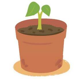 Square-metre composting tips