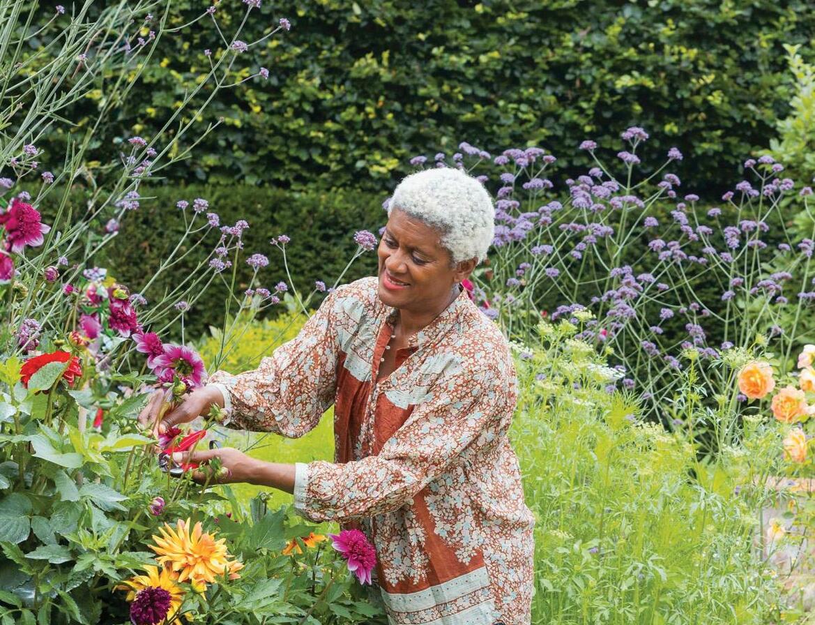 The 5 senses of gardening SIGHT