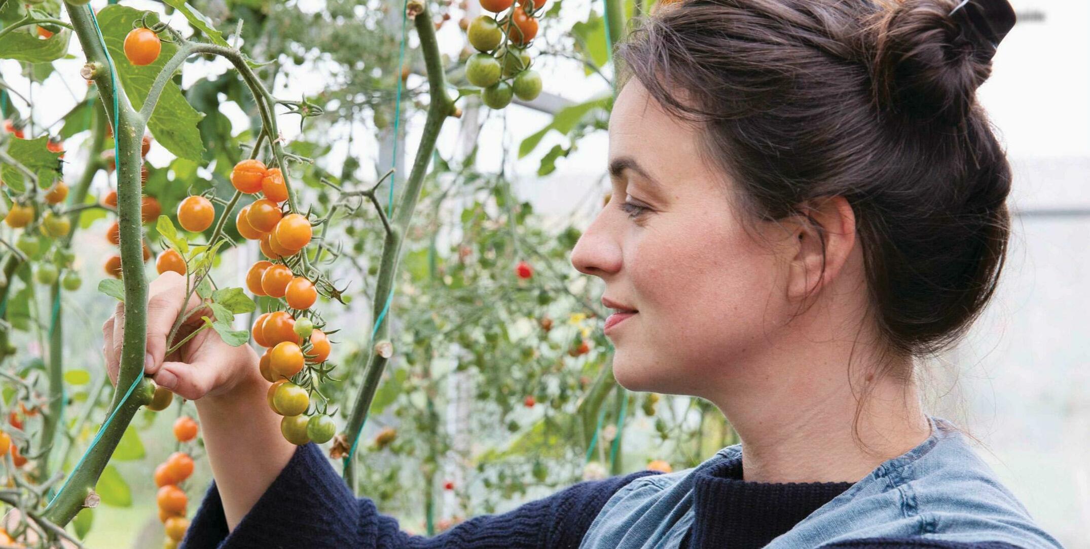 NO-FEAR GARDENING PART 4: TACKLING SUMMER PROBLEMS