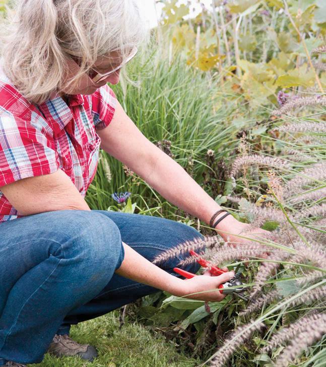 Keep lawn edges in good shape