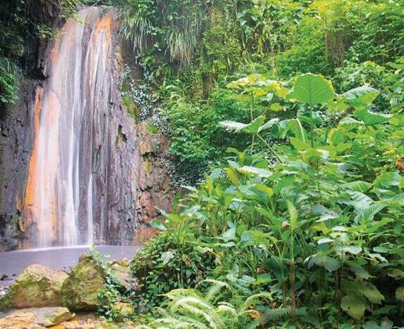 Garden globetrotting: St Lucia