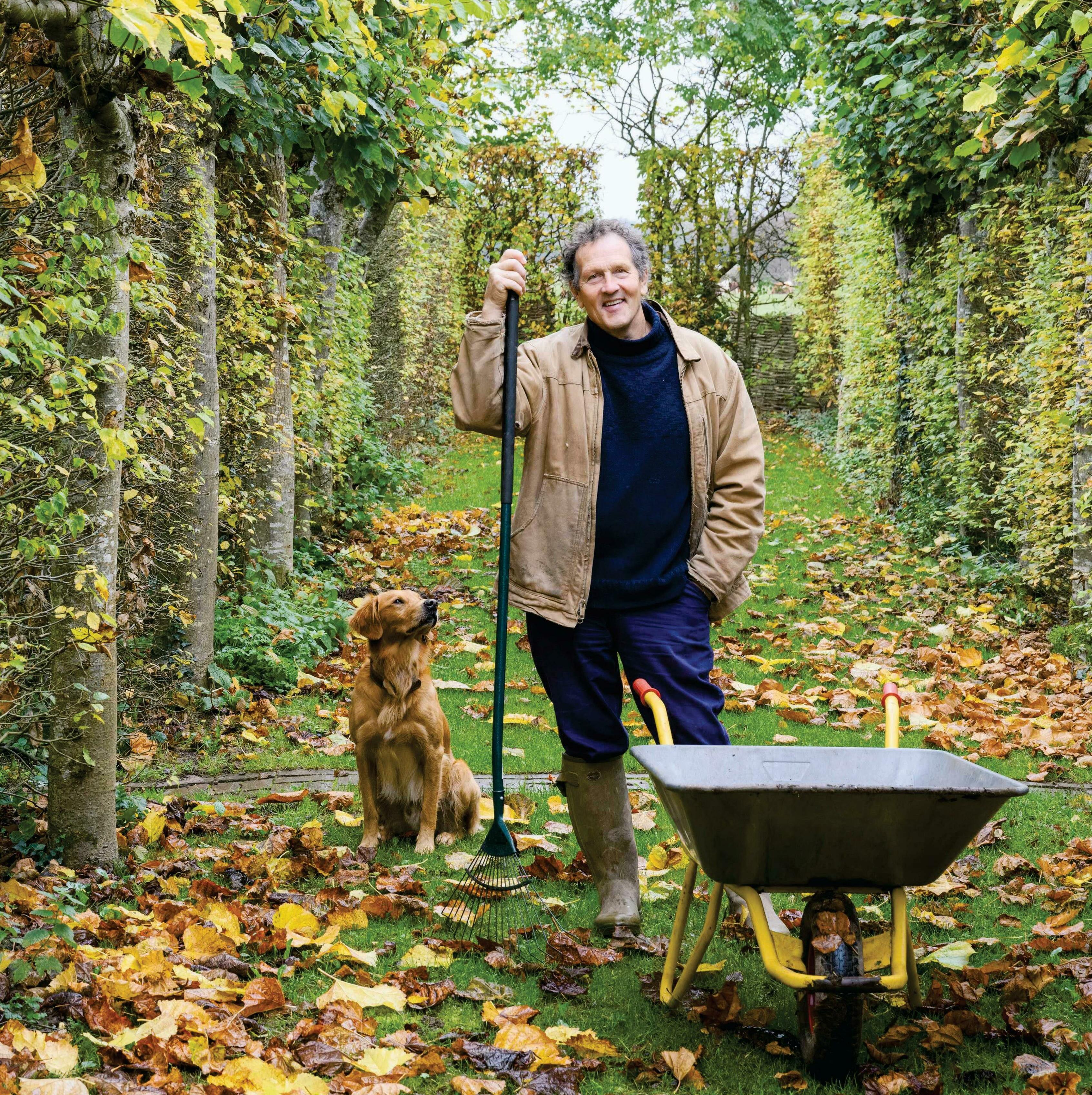 Falling for leafmould