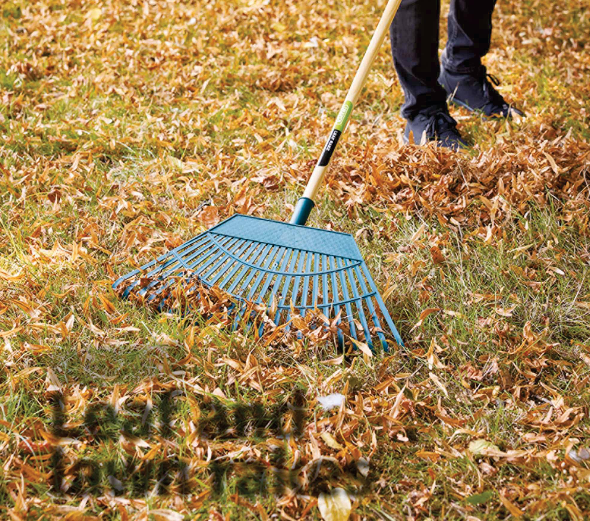 Leaf and lawn rakes