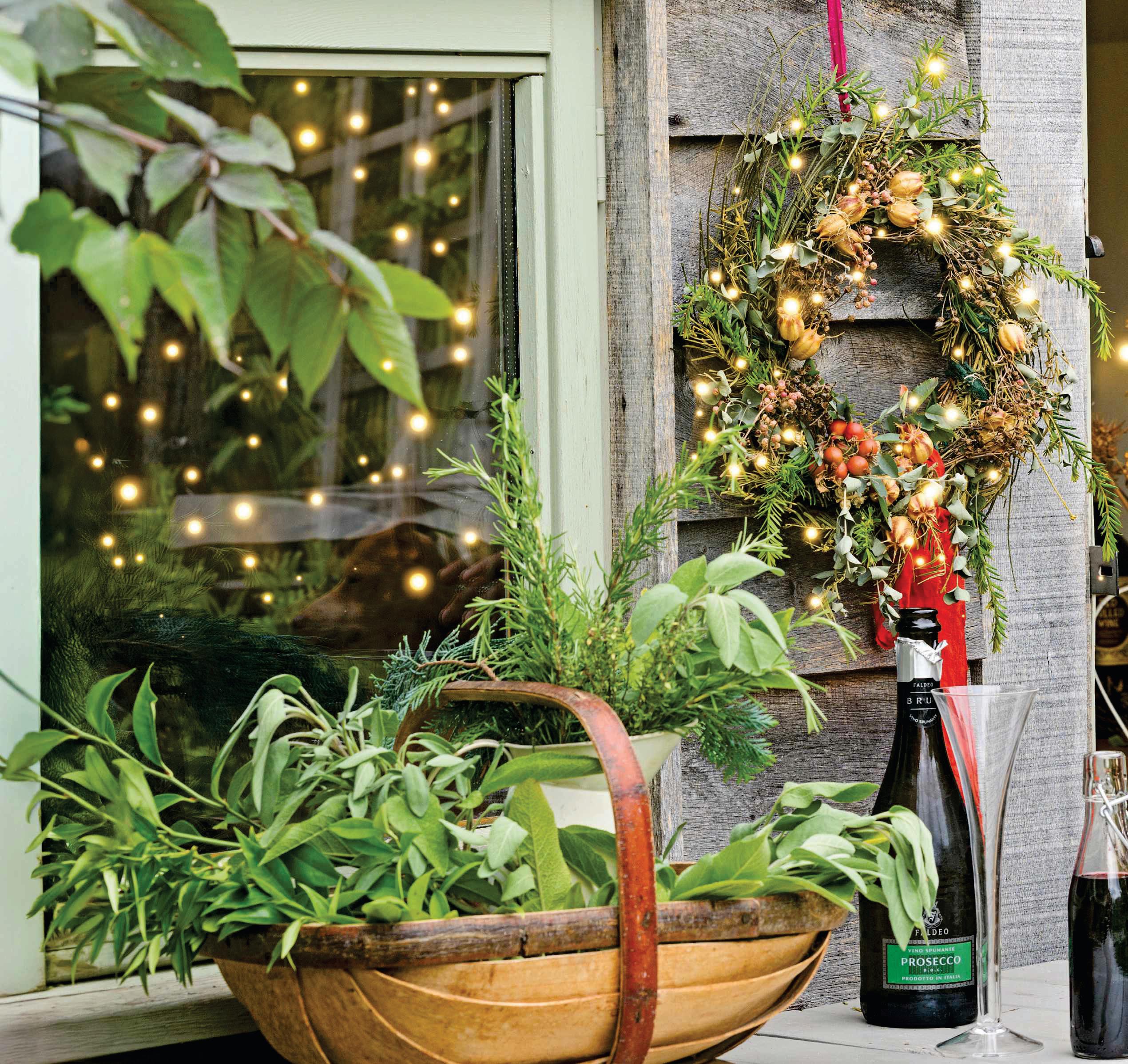 Get festive WITH ADAM