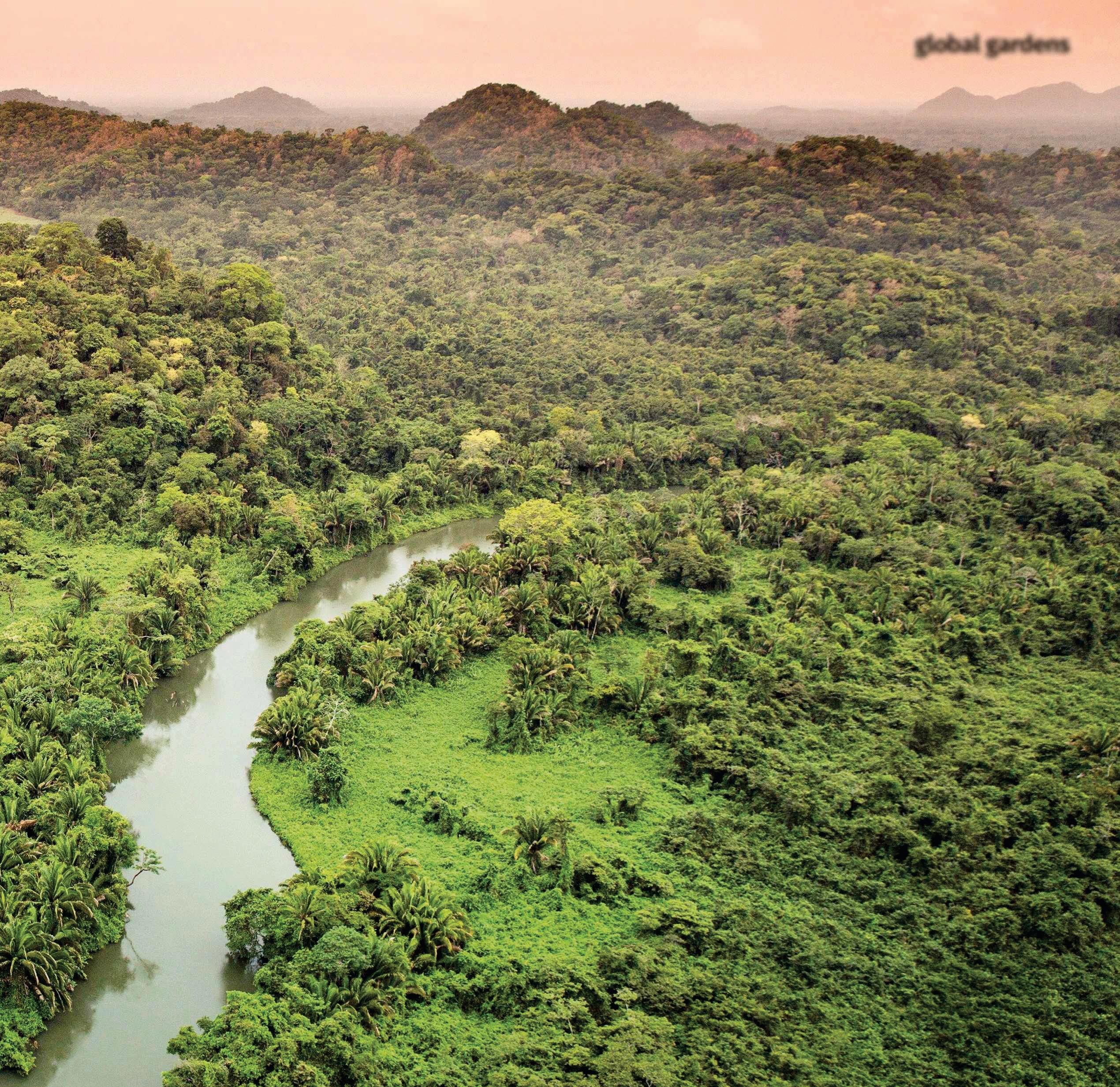 Garden globetrotting: Belize