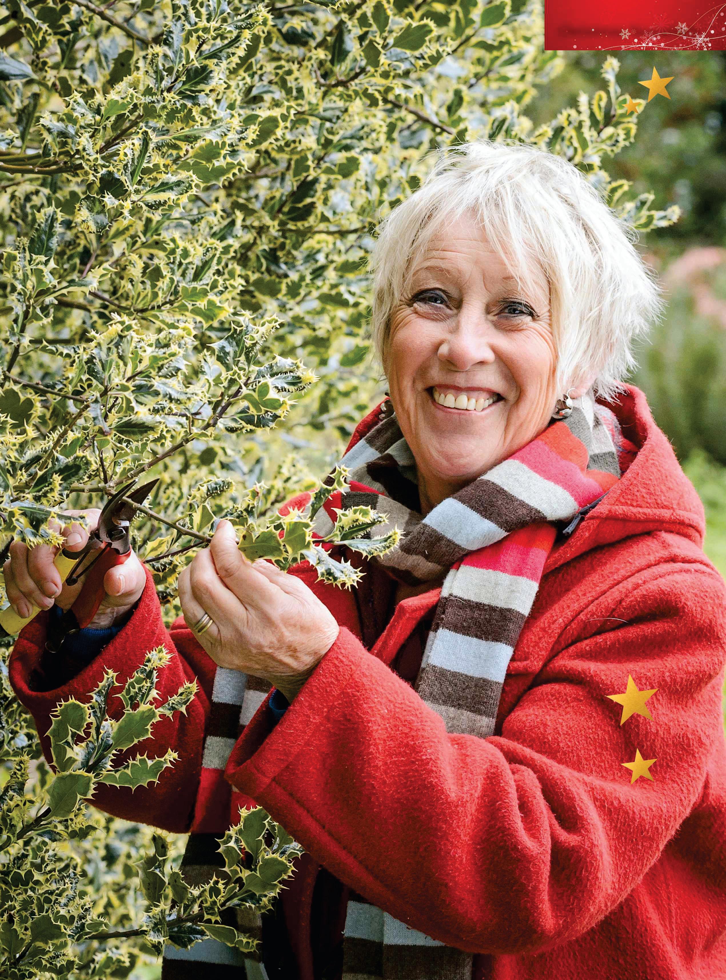 Carol's yuletide CRACKERS