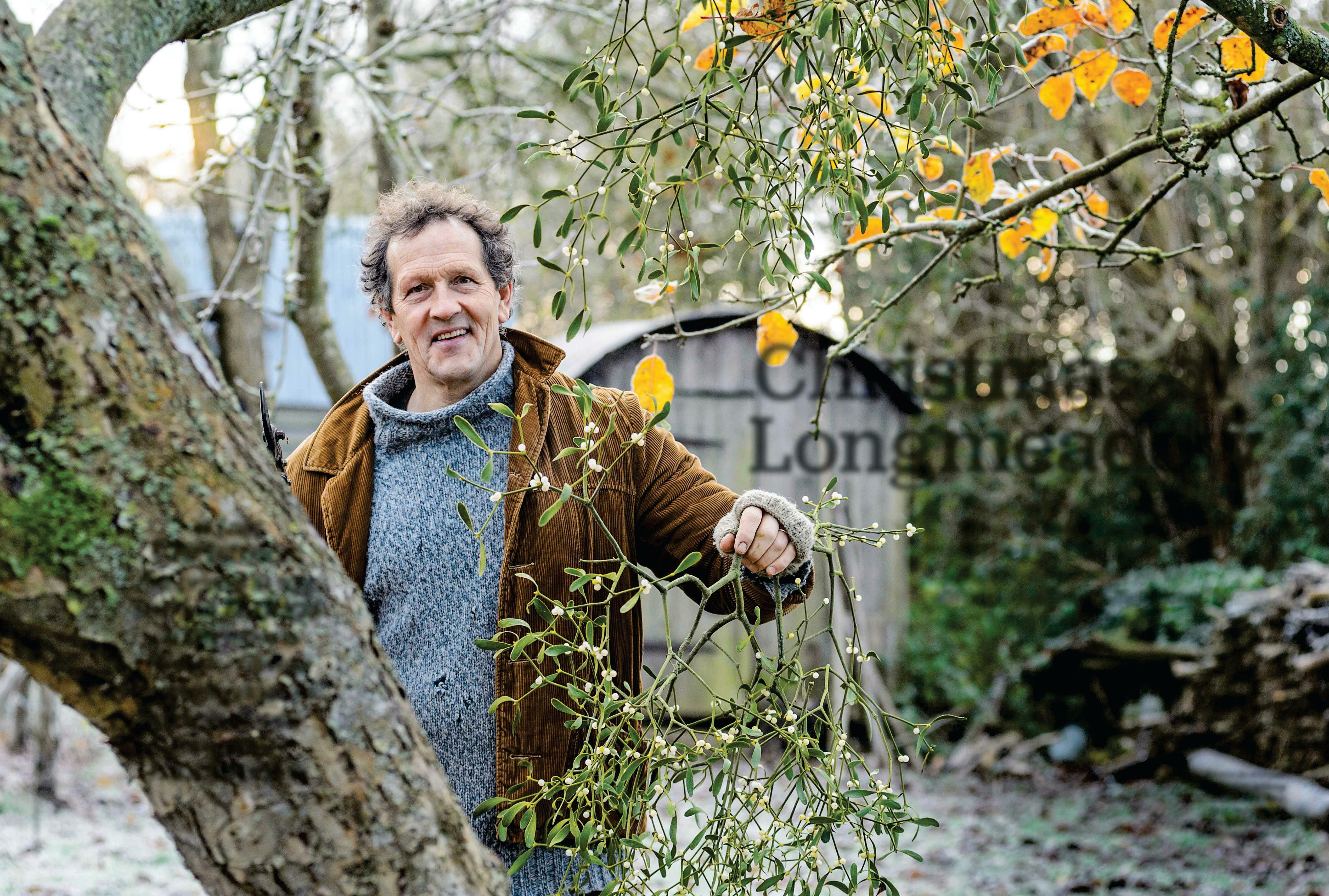 Christmas at Longmeadow