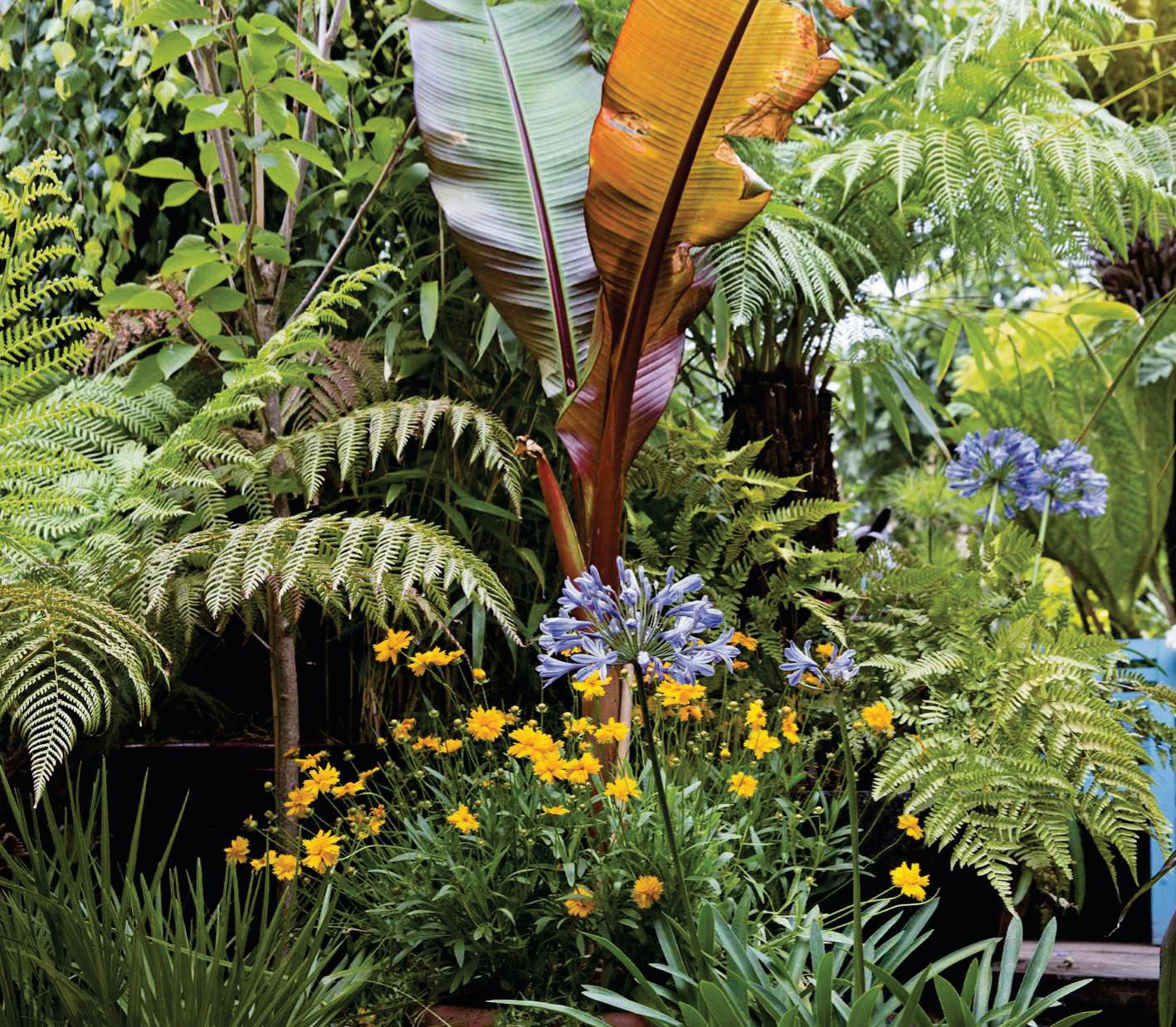 Inspired by Barbadian gardens